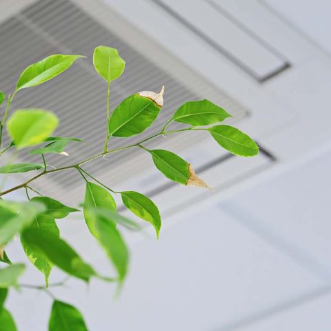 qualità-aria-climatizzatore-a-soffitto